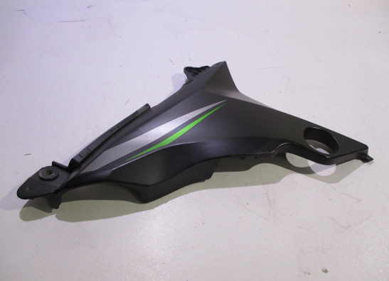 Afdekkap Kawasaki Z 800