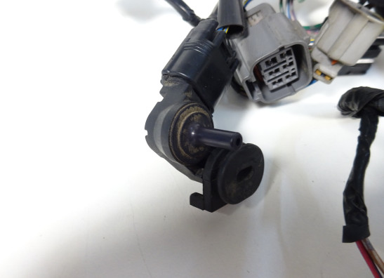 Wire Harness Kawasaki ER 6