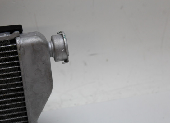 Radiateur Honda CRF 1100 Africa Twin