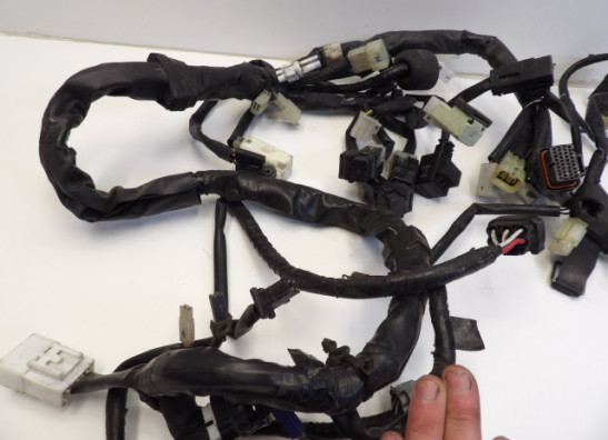 Wire Harness Yamaha YP 400 Majesty