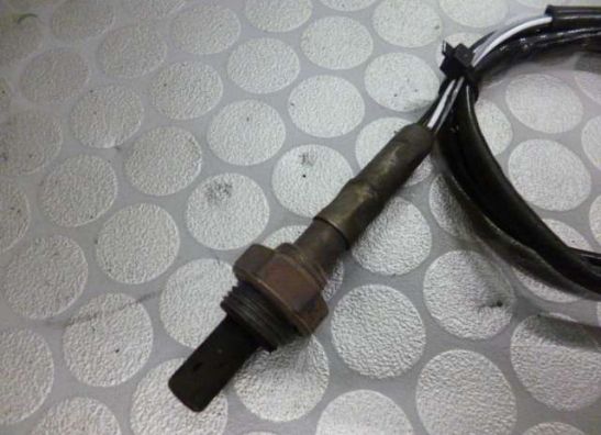 Oxygen sensor Triumph Tiger 955i