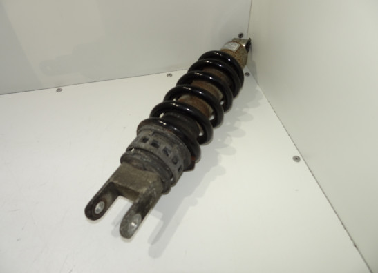 Stossdampfer hinten BMW R 850 R