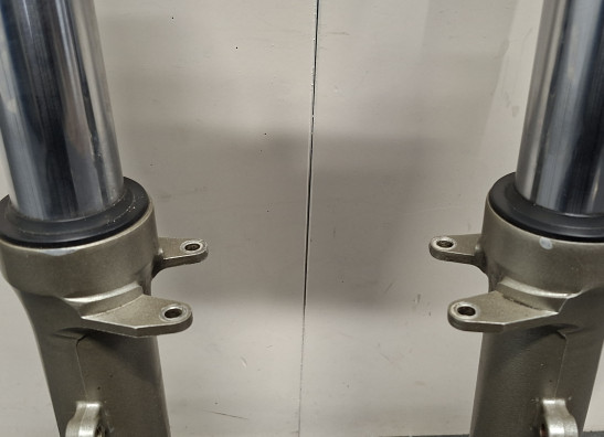 Gabelholm Komplett Yamaha FZR 1000