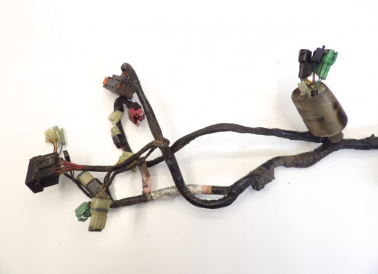 Kabelbaum Honda CBF 500