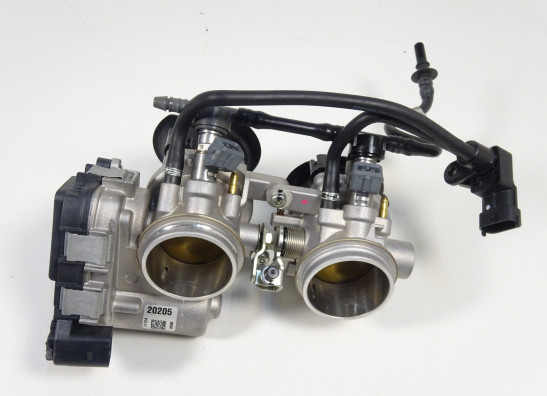 Einspritzanlage Aprilia Tuono 660