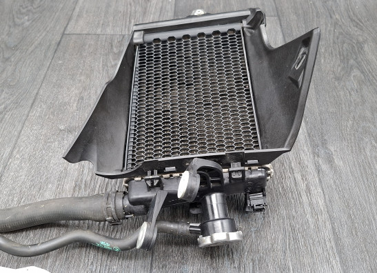 Radiateur BMW R 1250 GS Adventure