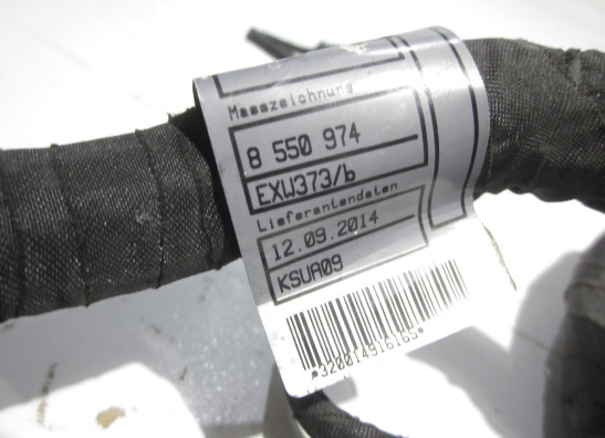 Wire Harness BMW S 1000 R
