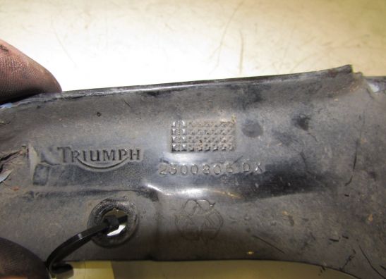 Sonstiges Triumph Tiger 900