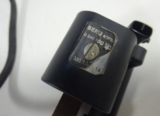 Bobine Ducati Monster 695