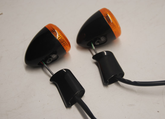 Blinker Harley Davidson Softtail