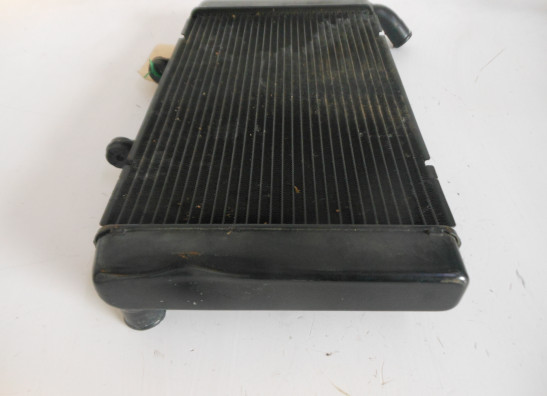 Radiateur Honda CBR 600 F
