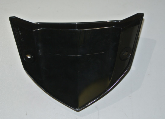Windschild Kawasaki Z 1000