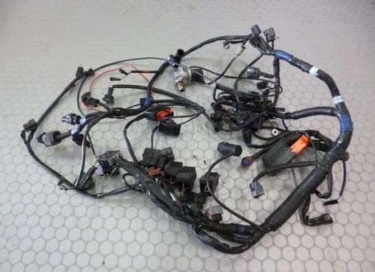 Kabelboom Triumph Tiger 1050 2007-2010