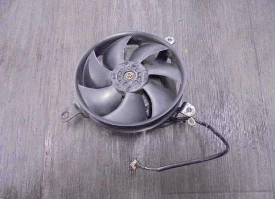 Fan Honda CBR Fireblade 2000-2001