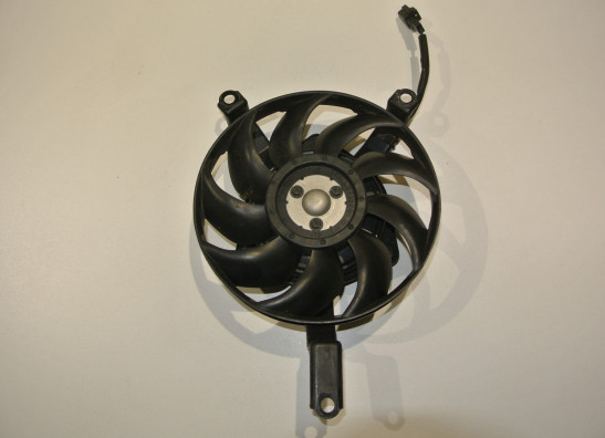 Fan Suzuki GSR 600