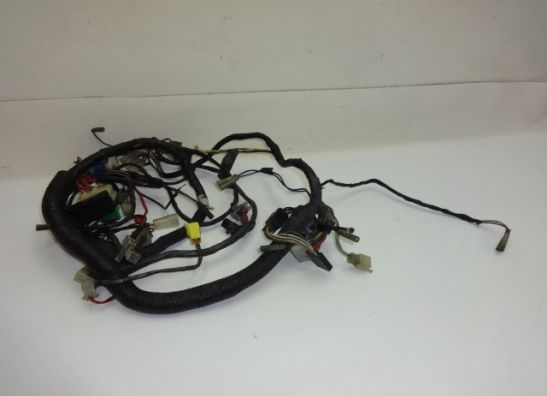 Wire Harness Yamaha FZ 750