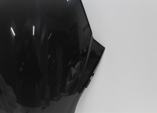 Windscherm Honda NSS300 Forza