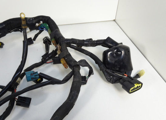 Wire Harness Kawasaki VERSYS 1000