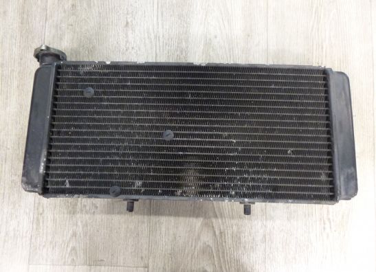 Radiateur Aprilia Caponord 1000 2001-2007
