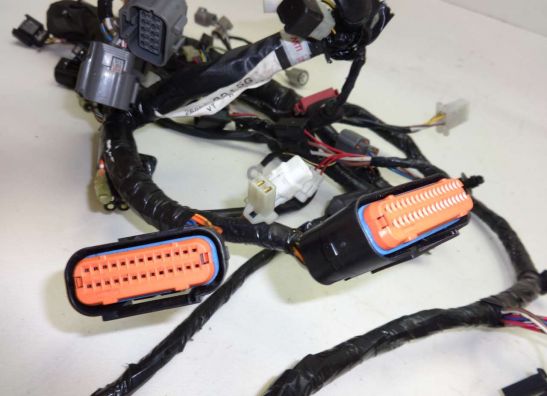 Kabelboom Kawasaki ZX 6 R