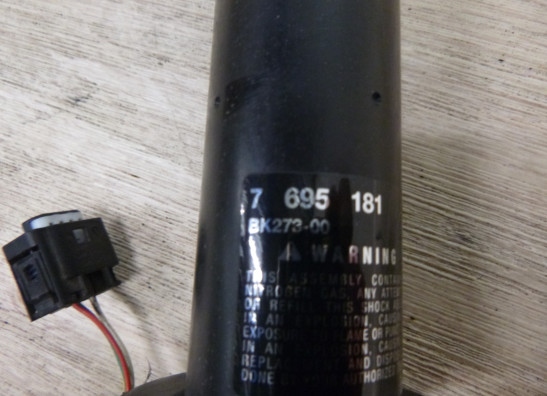 Stossdämpfer vorne BMW R 1200 R