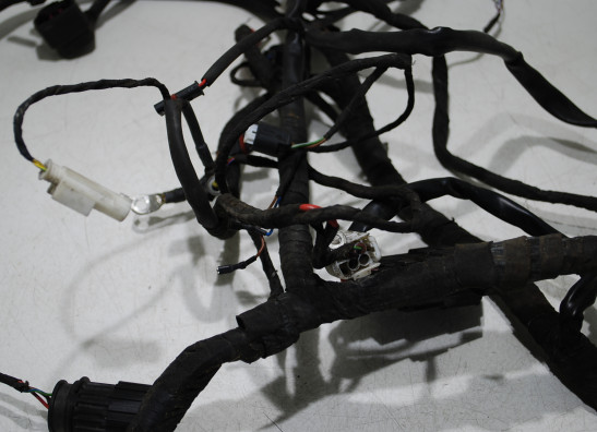 Wire Harness BMW K 1200 R 