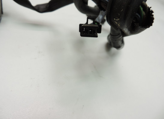 Lichtmaschine Suzuki VS 800 Intruder