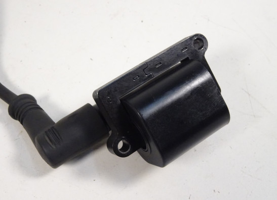 Bobine Ducati monster 1100