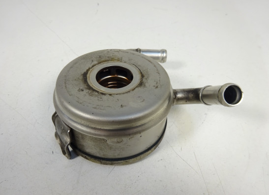 Motorblok diverse Triumph Street Triple 675