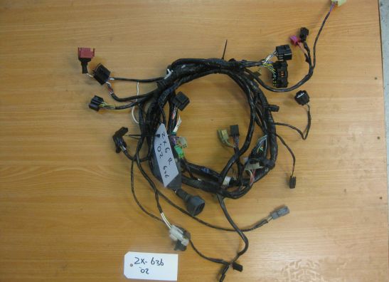 Wire Harness Kawasaki ZX 6 R