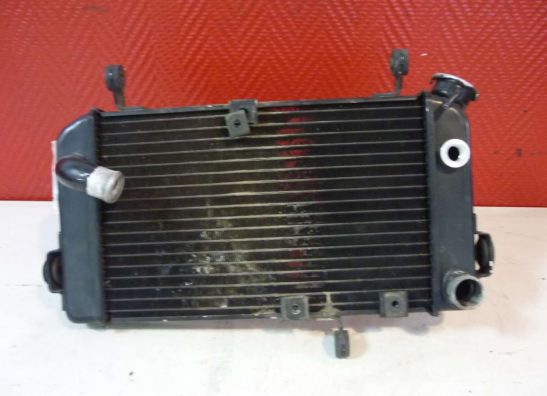 Radiateur Suzuki SV 650