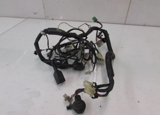 Kabelboom Kawasaki ZZR 250