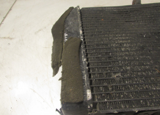 Kuhler Yamaha YZF R6