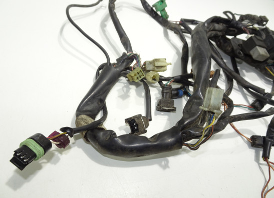 Kabelboom Aprilia RST 1000 Futura