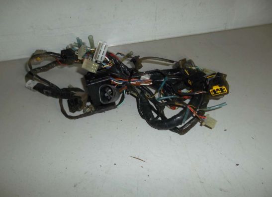 Wire Harness Kawasaki ER 5