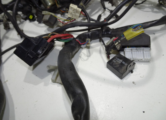 Wire Harness Aprilia Tuono 1000