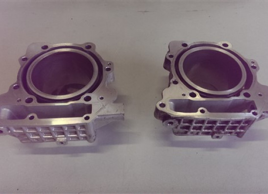 Cylinders Aprilia RSV 1000