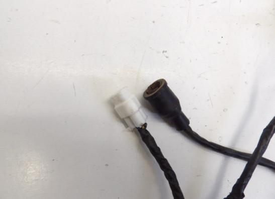 Achterlicht Yamaha YZF R1