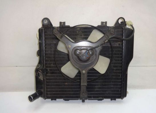 Radiateur Kawasaki ZX 10 R