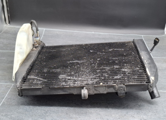 Radiator Yamaha YZF R1