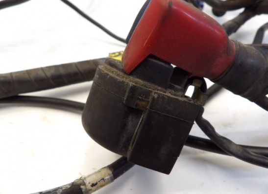 Kabelboom Honda Goldwing GL