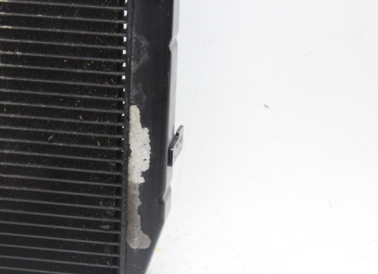 Radiateur Triumph Daytona 675 