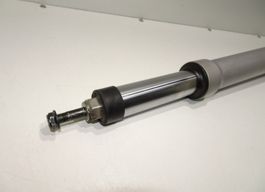 Voorpoot rechts compleet BMW R 1150 R