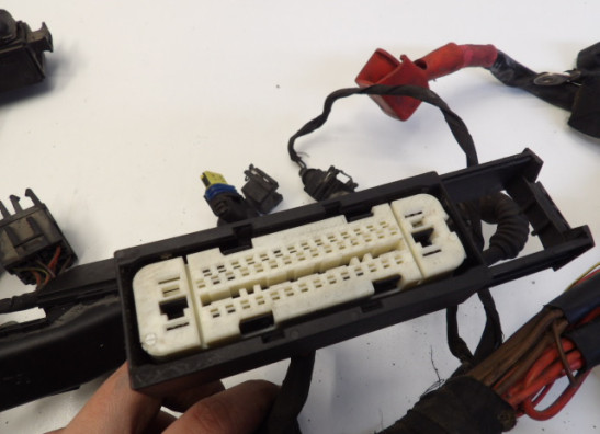 Kabelboom BMW R 1200 GS