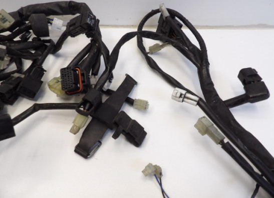 Wire Harness Yamaha YP 400 Majesty