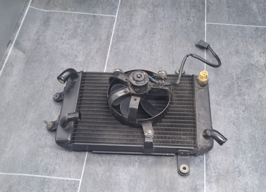 Radiator Suzuki Burgman 400