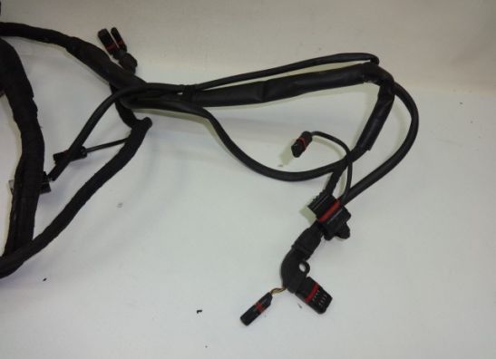 Wire Harness BMW F 800 S - ST