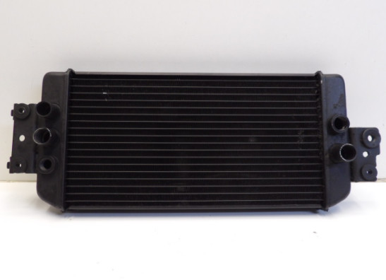 Radiator Suzuki VL 800