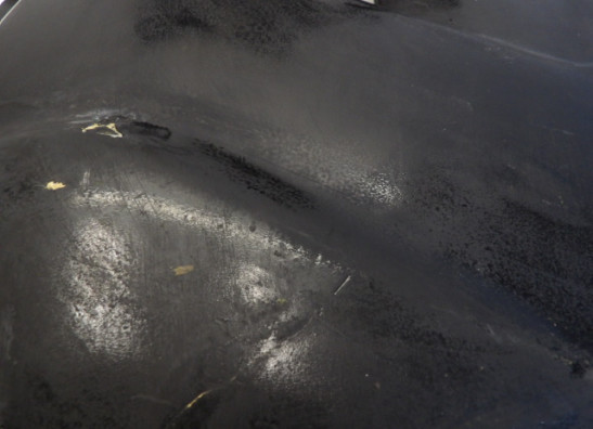 Seiten verkleidung links Honda CBR 1000 F