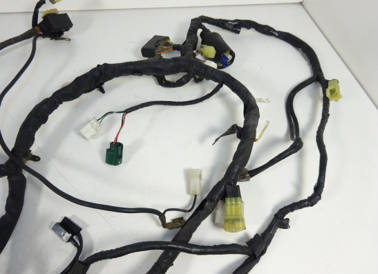 Kabelboom Yamaha FZ6